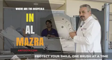 Locating Healthcare: Hospitals in Al Mazra' and Their Accessibility