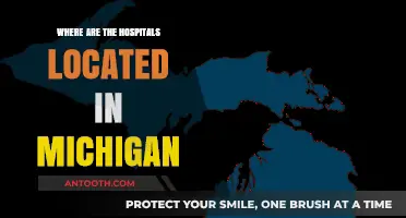 Discovering Michigan's Healthcare: A Guide to Hospital Locations Statewide