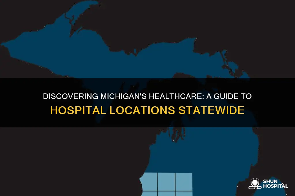 where are the hospitals located in michigan