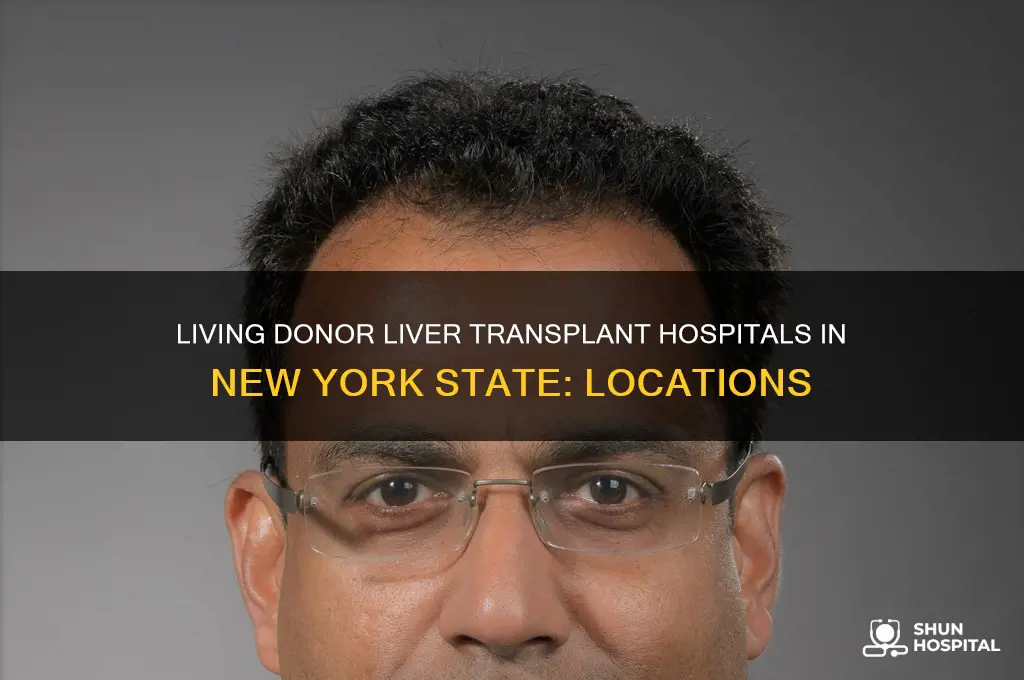 where are the living donor liver transplant hospitals in nys