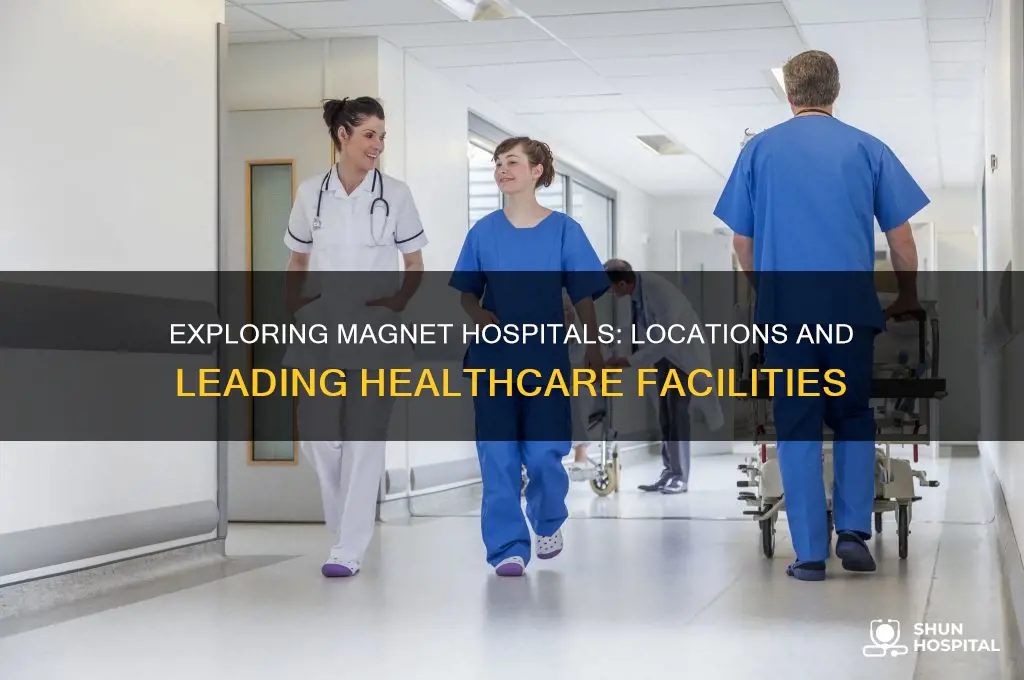 where are the magnet hospitals