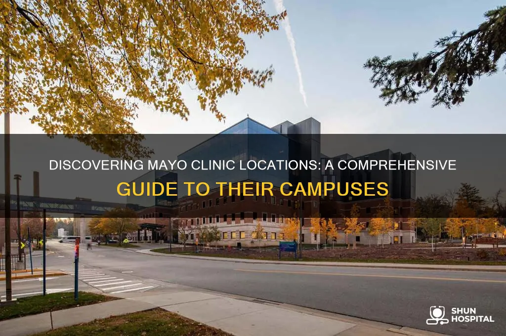where are the mayo clinics