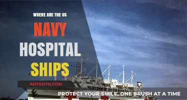 Tracking US Navy Hospital Ships: Current Locations and Missions