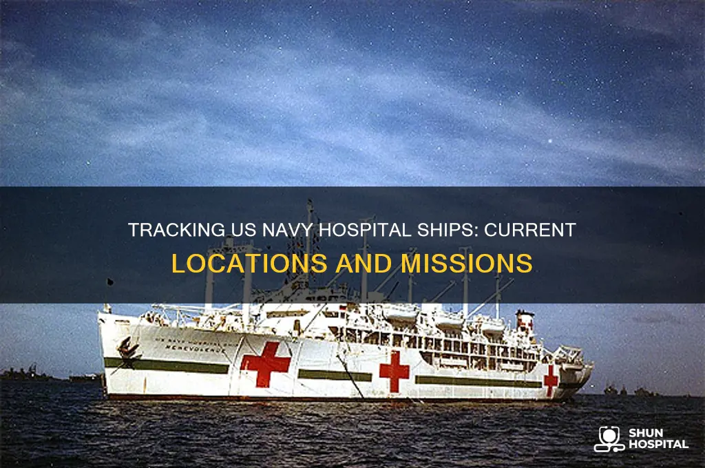 where are the us navy hospital ships