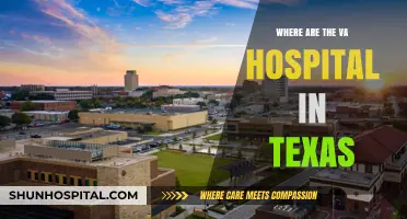 Texas VA Hospitals: Locations and Services for Veterans' Healthcare
