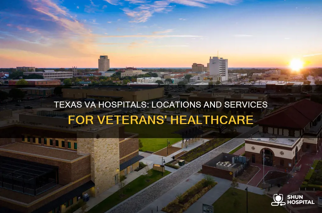 where are the va hospital in texas