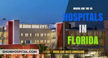 Florida's VA Hospitals: Locations and Services