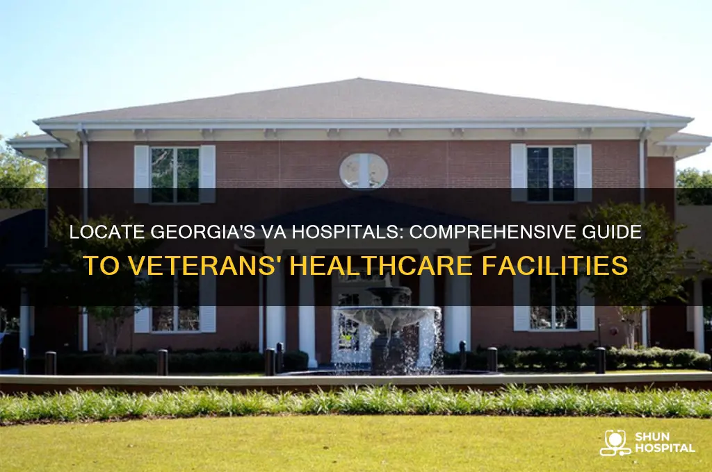 where are the va hospitals in georgia