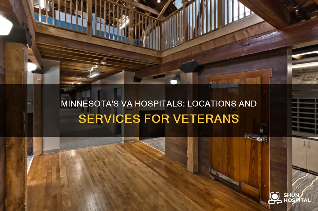 where are the va hospitals in minnesota