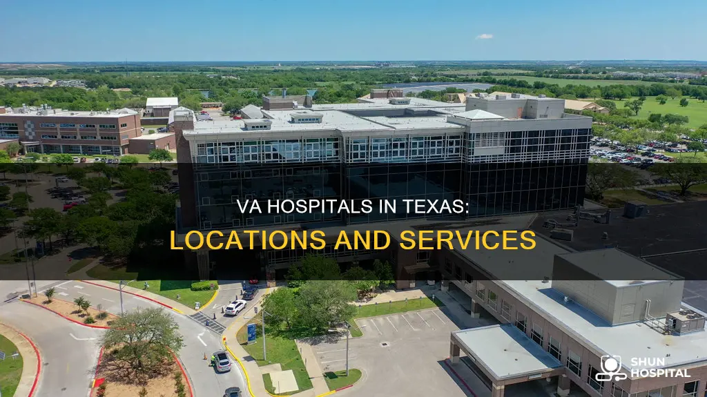 where are the va hospitals in texas
