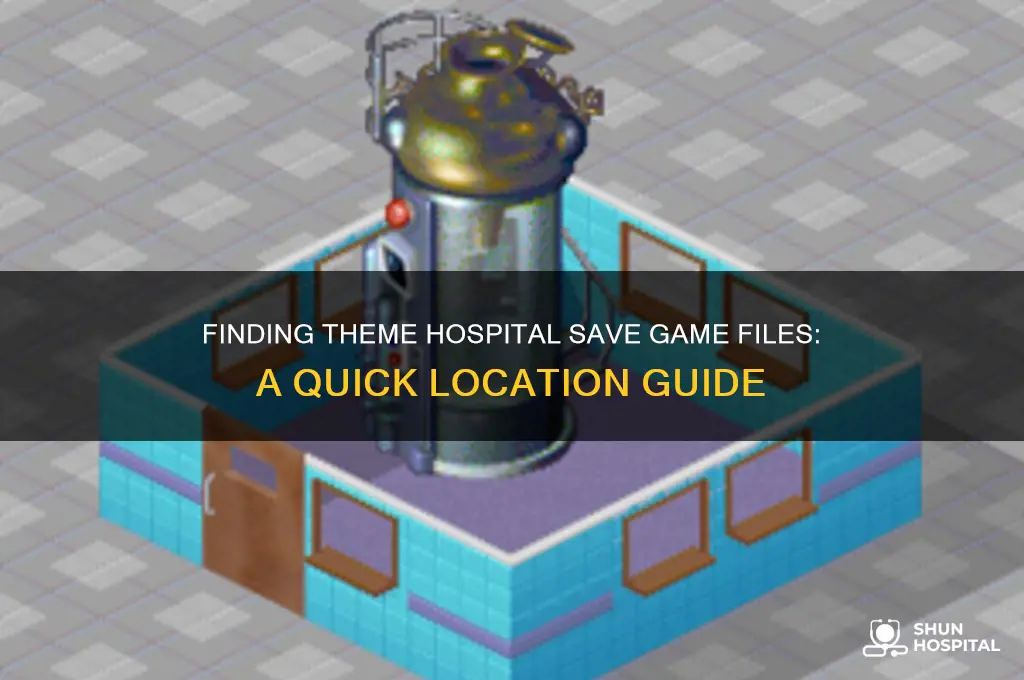 where are theme hospital save games location