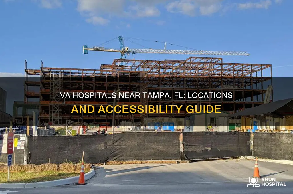 where are va hospitals near tampa fl
