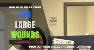 Hospital Wound Care: Understanding Where Large Wound Patients Are Kept