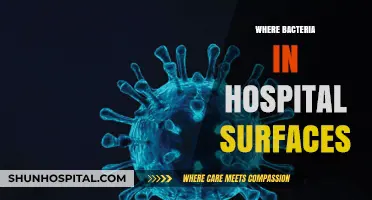 Hidden Dangers: Where Bacteria Lurk on Hospital Surfaces