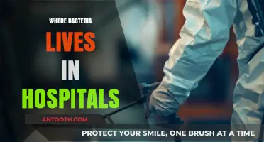 Unseen Threats: Where Bacteria Hide in Hospital Environments