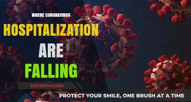 Coronavirus Hospitalizations Decline: Regions Seeing Positive Trends in Recovery