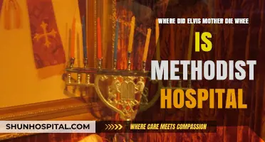 Elvis Presley's Mother's Passing: Methodist Hospital Location Revealed