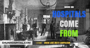 The Ancient Origins and Evolution of Modern Hospitals
