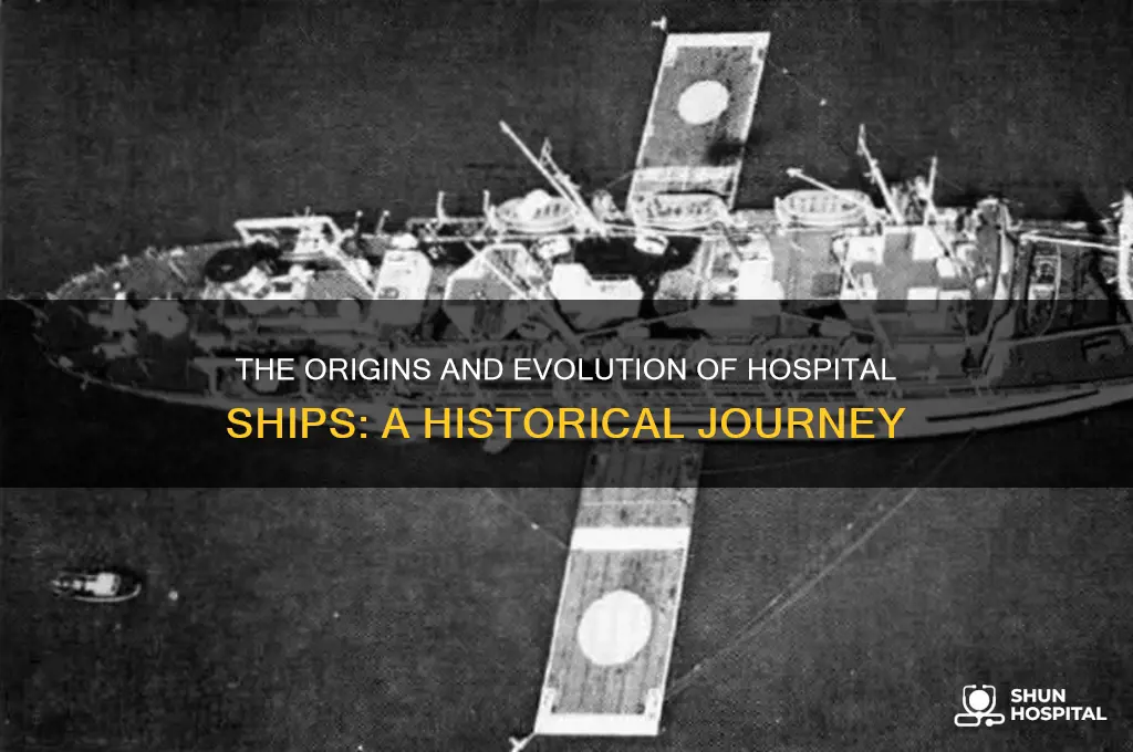 where did the hospital ship come from