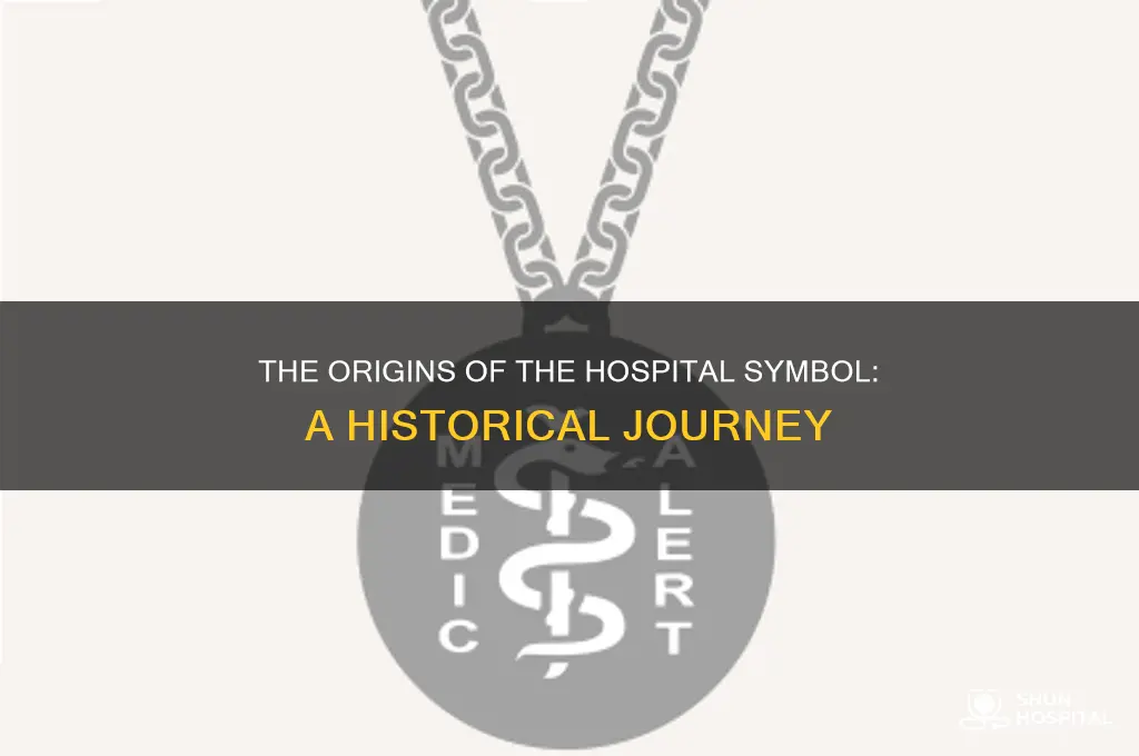 where did the hospital symbol come from