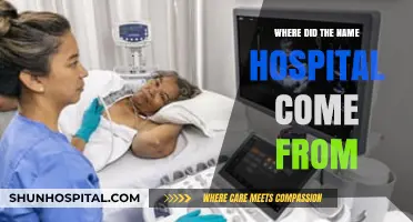 The Origin of 'Hospital': A Historical Journey Through Its Name