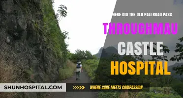 Old Pali Road's Historic Route: Maunawili to Castle Hospital