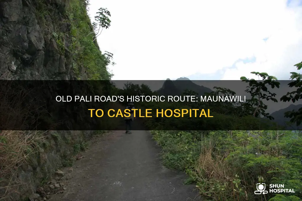 where did the old pali road pass throughmaunawiliand castle hospital