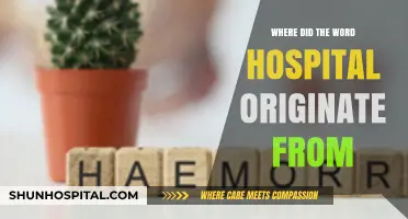 The Surprising Ancient Roots of the Word 'Hospital' Explained