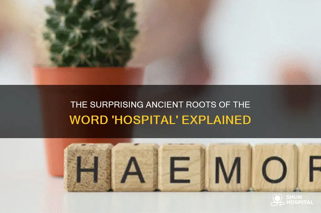 where did the word hospital originate from