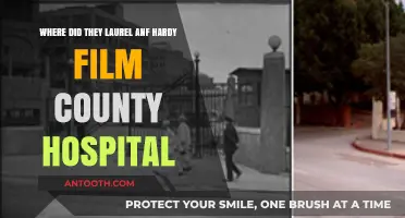 Laurel and Hardy's County Hospital Filming Location Unveiled