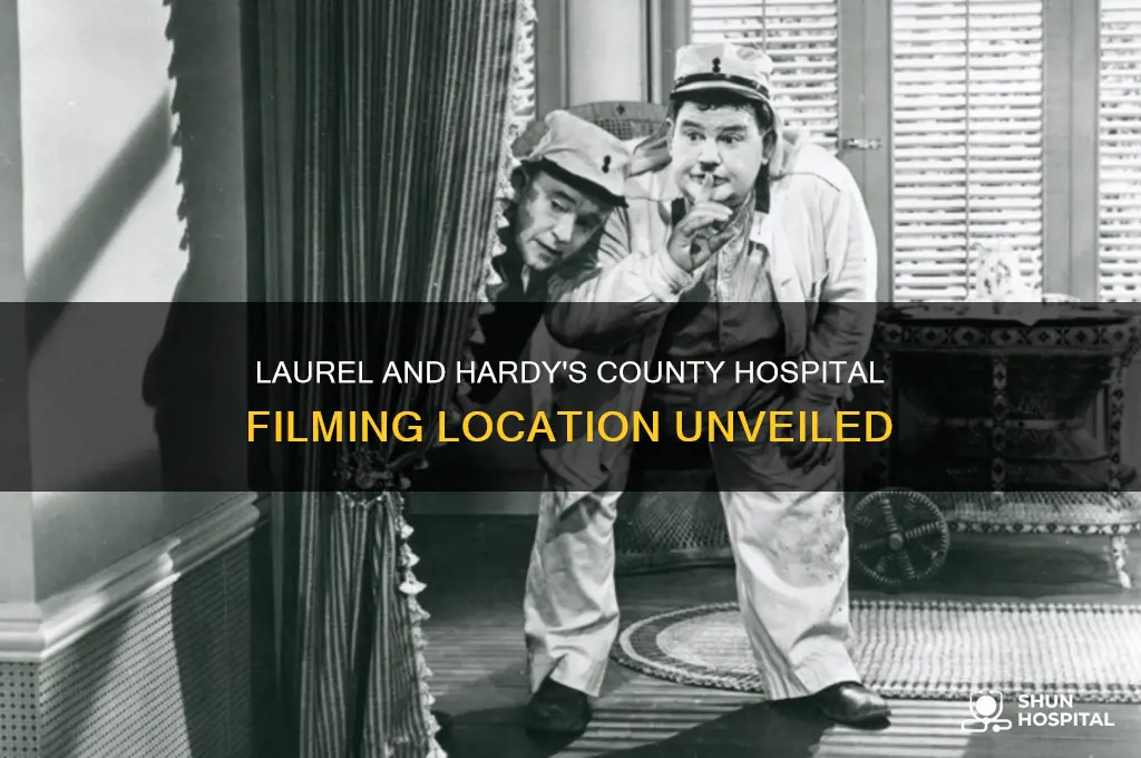 where did they laurel anf hardy film county hospital