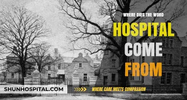 The Surprising Origins of the Word 'Hospital': A Historical Journey