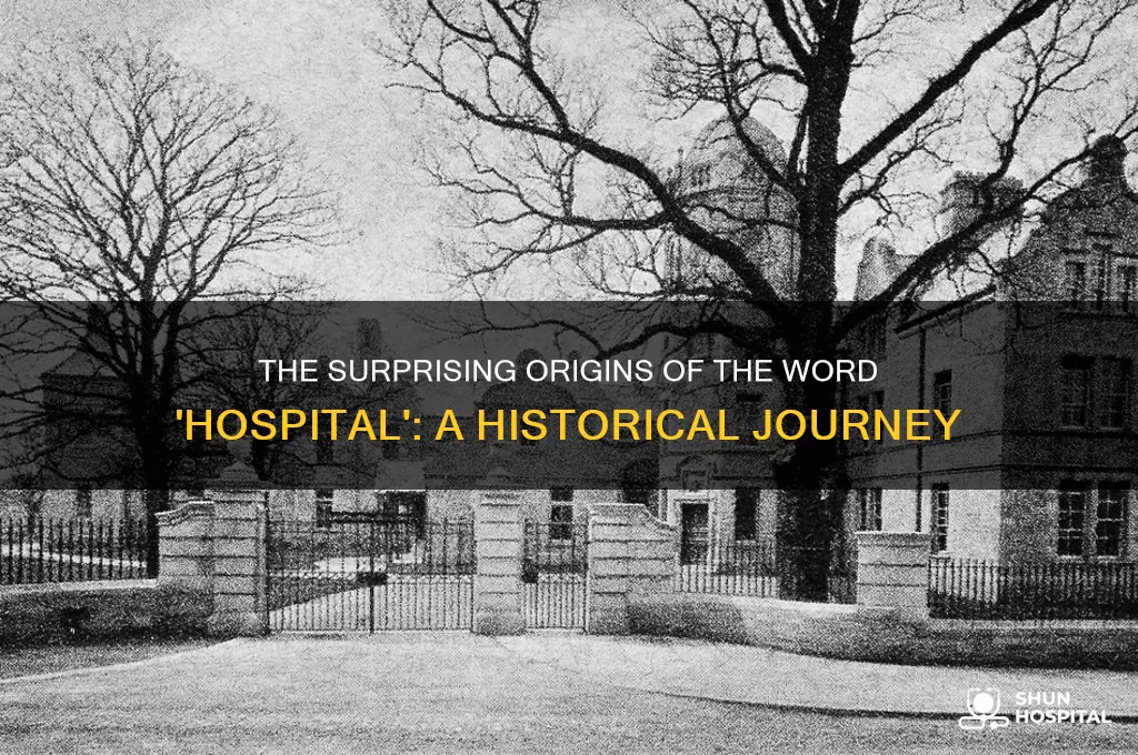 where dies the word hospital come from