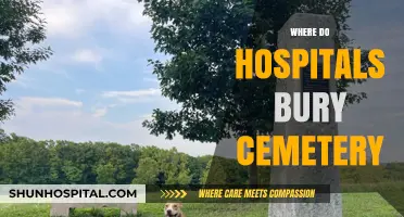 Where Do Hospitals Bury the Deceased? Cemetery Practices Explained