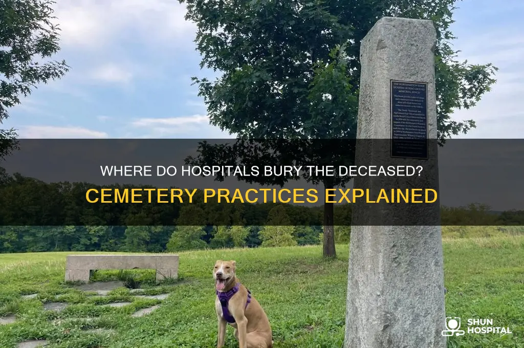 where do hospitals bury cemetery