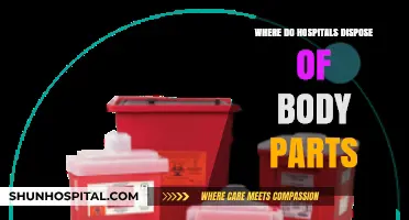 Ethical Disposal of Human Remains: How Hospitals Handle Body Parts