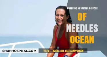 Hospitals' Needle Disposal Practices: Ocean Impact and Environmental Concerns