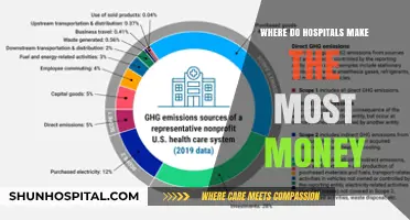 Maximizing Profits: Key Revenue Streams in Hospital Financial Success