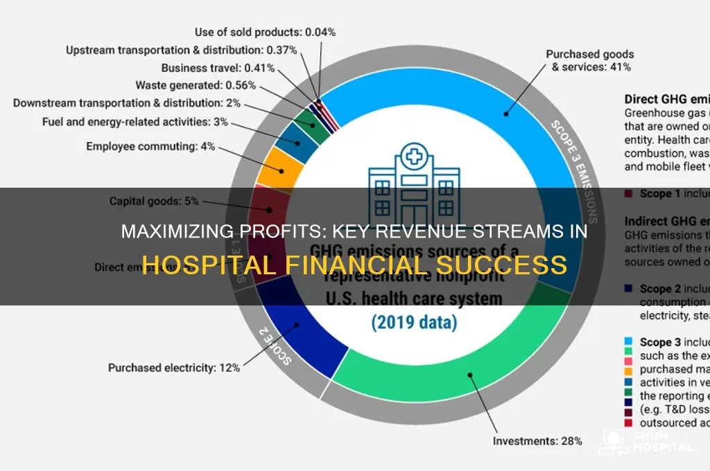 where do hospitals make the most money