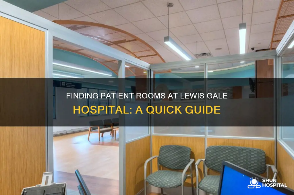 where do i find the rooms for lewis gale hospital