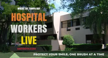 Where Tampa Bay Hospital Workers Reside: Exploring Local Communities
