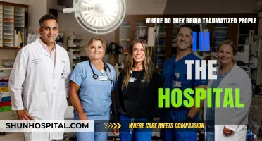 Understanding Hospital Trauma Care: Where Do They Take Traumatized Patients?