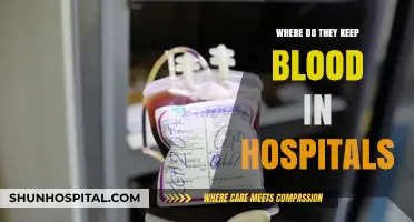 Hospital Blood Storage: Where and How It's Safely Kept