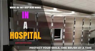 Hospital Morgues: Where and How Deceased Patients Are Kept Securely