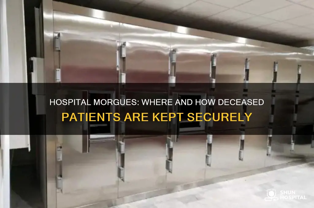 where do they keep dead bodies in a hospital