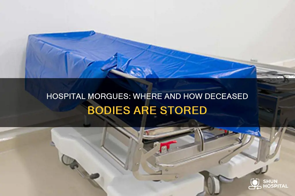 where do they store bodies at hospital