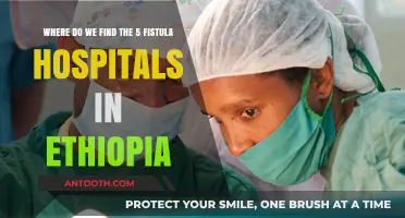 Discovering Ethiopia's Five Fistula Hospitals: Locations and Services