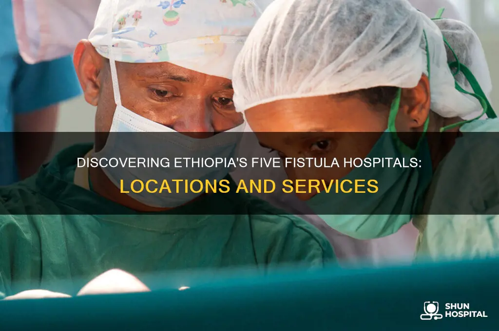 where do we find the 5 fistula hospitals in ethiopia
