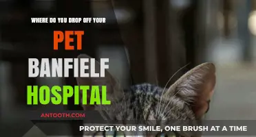 Pet Drop-Off Guide: Banfielf Hospital's Location and Process Explained