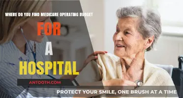 Where to Locate a Hospital's Medicare Operating Budget: A Guide